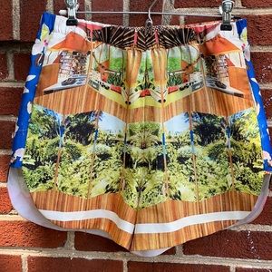 Clover Canyon shorts